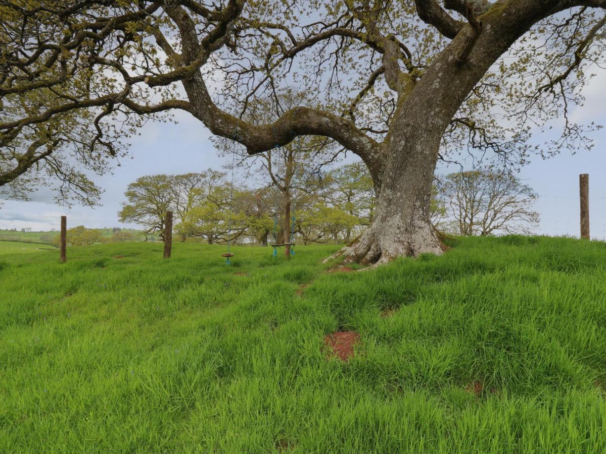 Wild Acre *